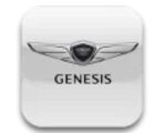Автоодеяло для автомобилей Genesis